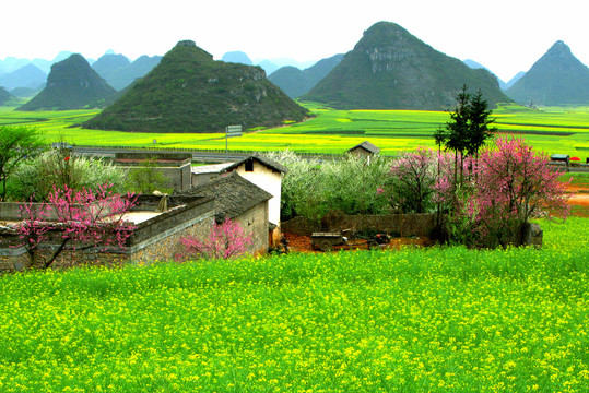 春天的农村景色