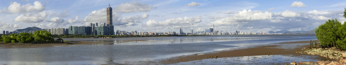 深圳湾全景