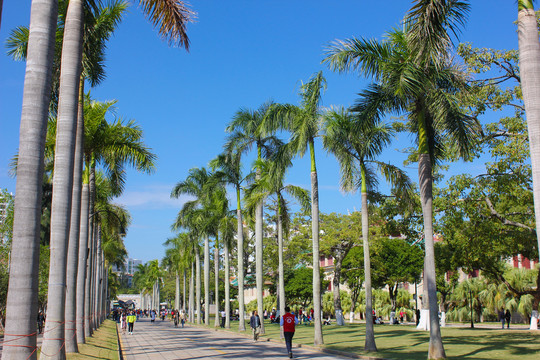 厦门大学校园