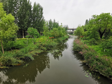 河道景观