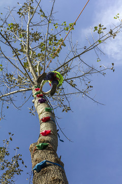 户外运动儿童攀爬树干