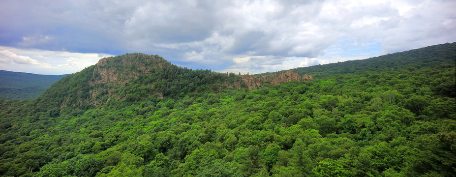 远山森林