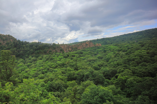 远山森林