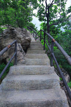 登山台阶