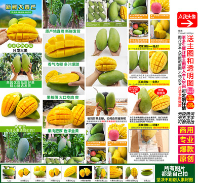 大青芒詳情頁主圖