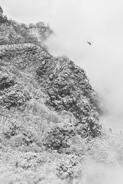 南太行雪景