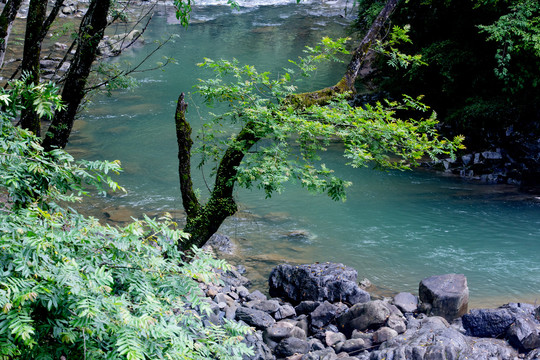 生态溪流