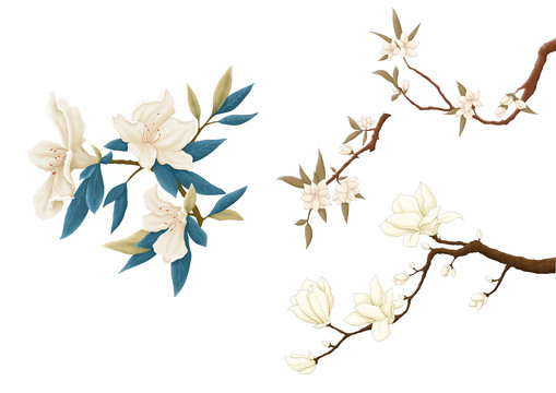 原创手绘插画古典中国风植物花卉