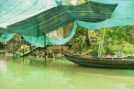 越南九龙江风景区游船码头的木船