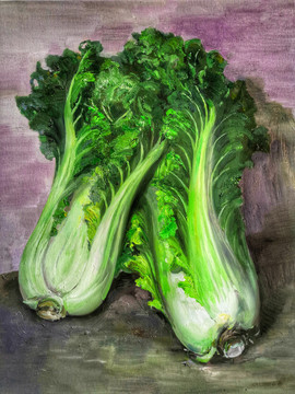 大白菜油畫