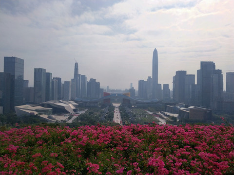 深圳风景