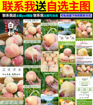 陽山水蜜桃詳情頁