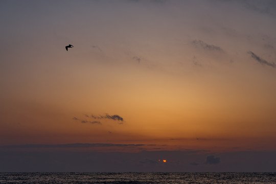 青海湖日出