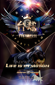 臺(tái)球
