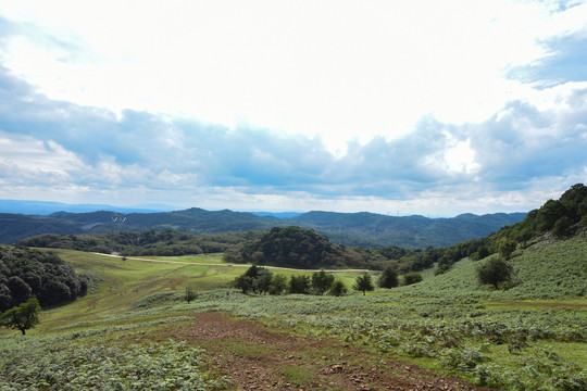 高山草坪风光