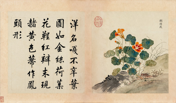 余省海西集卉冊朝陽鳳圖