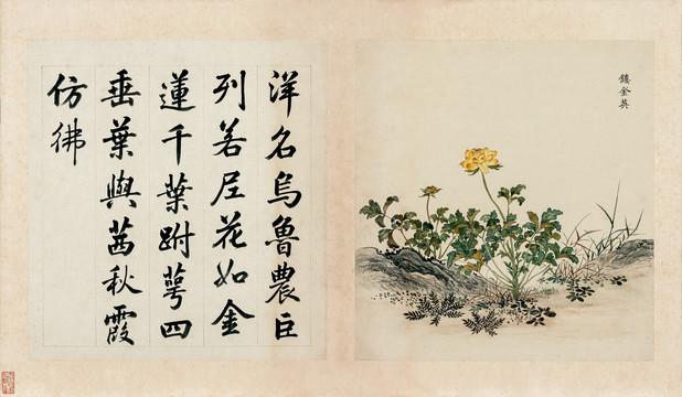 余省海西集卉冊(cè)鏤金英圖