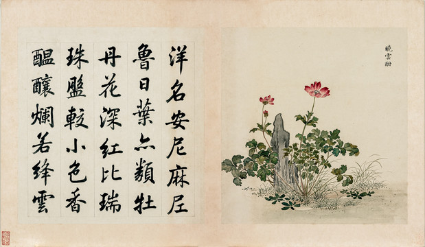 余省海西集卉冊曉云酣圖
