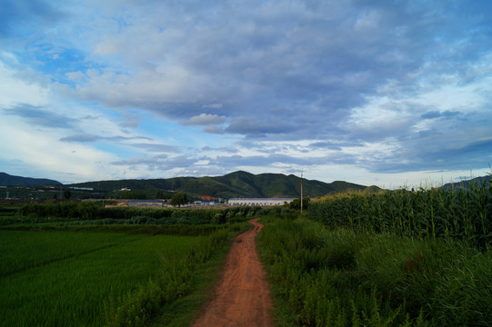 乡村土路