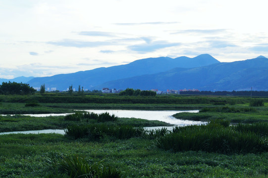 农村湿地