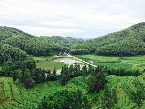 田园风光