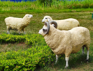 雕塑绵羊