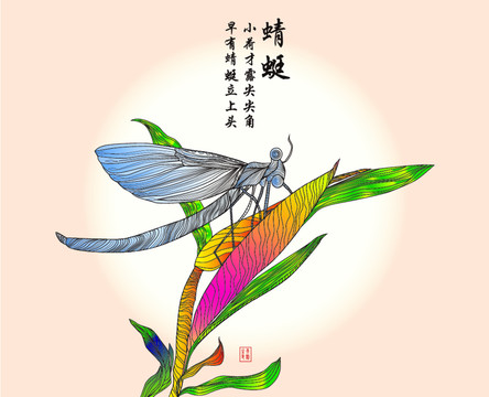 大暑蜻蜓