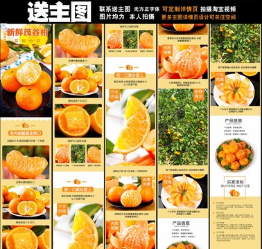 茂谷柑詳情頁設(shè)計(jì)