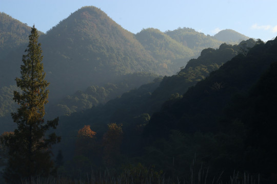 晨光中的山野