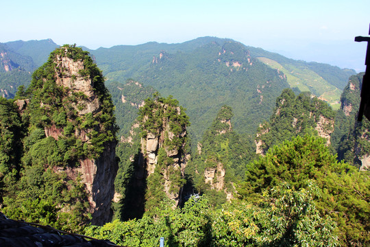 天子山风光