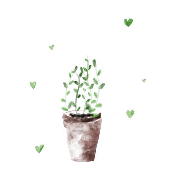 綠植盆栽