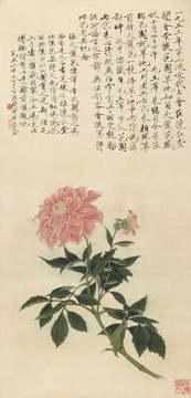 于非闇 大麗花