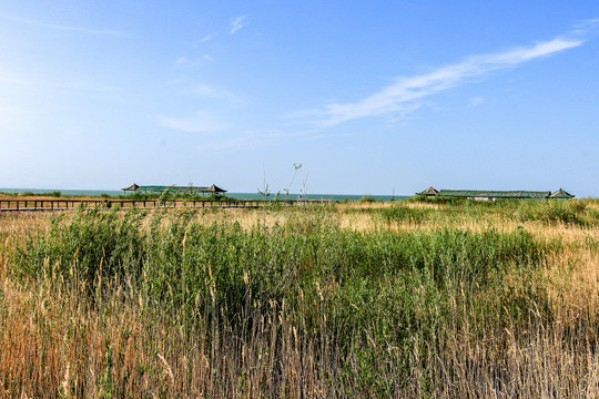 锡林郭勒草原