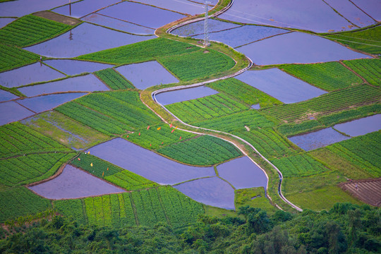 山水田园