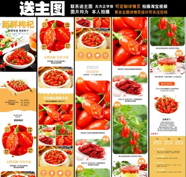 新鮮枸杞詳情