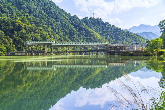 电站青山绿水