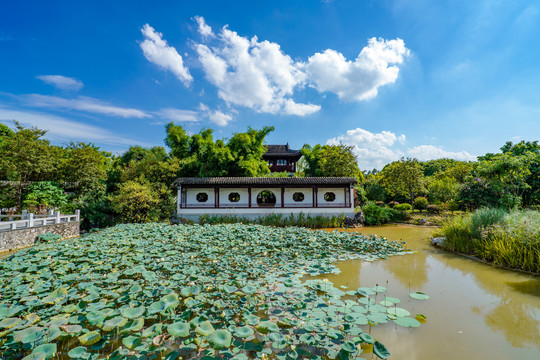 南宁花卉公园中式庭院园林