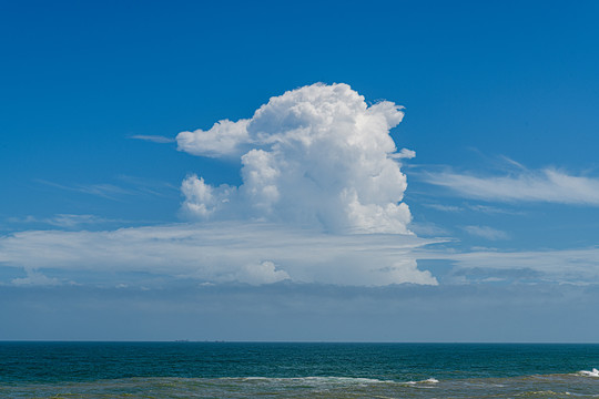 靖海客鸟尾