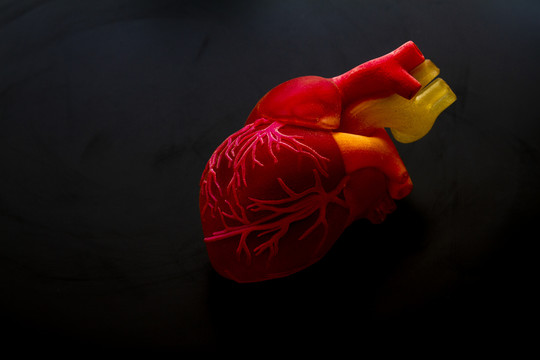心脏3D打印