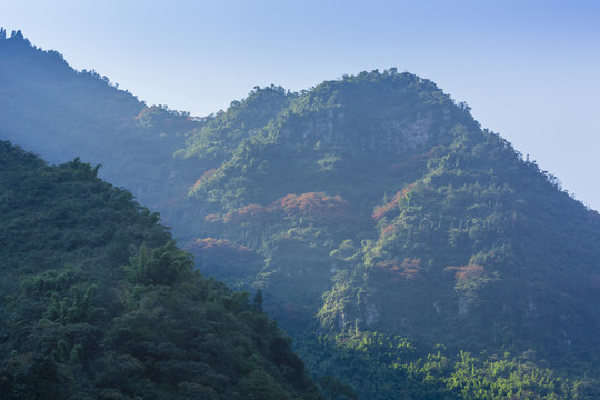 云南水富铜锣坝原始森林自然风光