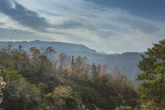 云南水富铜锣坝原始森林秋色山脉