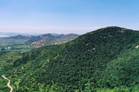 山东枣庄莲青山森林公园