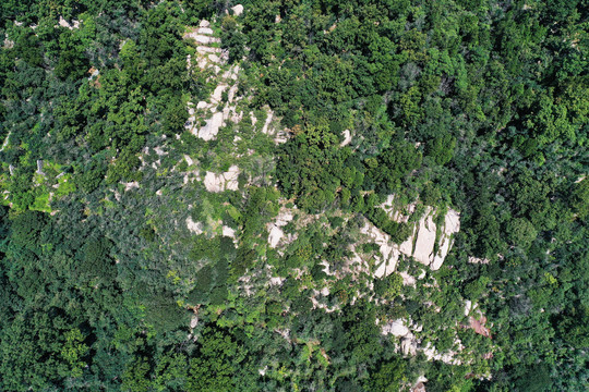 山东枣庄莲青山森林公园