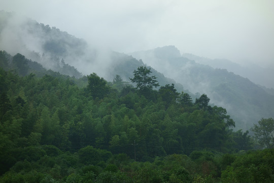 山区大雾