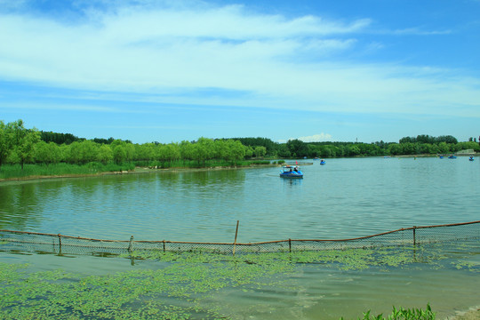 大明湖