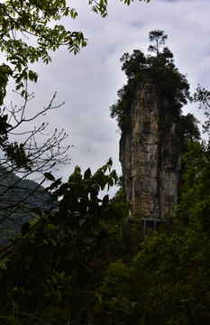 贵州油杉河仙宇峰