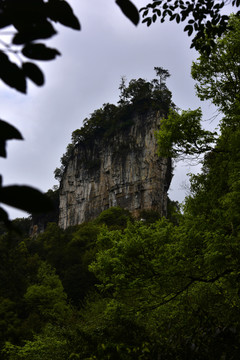 贵州油杉河仙宇峰