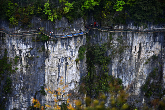 贵州油杉河仙宇峰