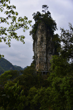 贵州油杉河仙宇峰