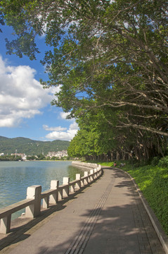 湖畔步道景观